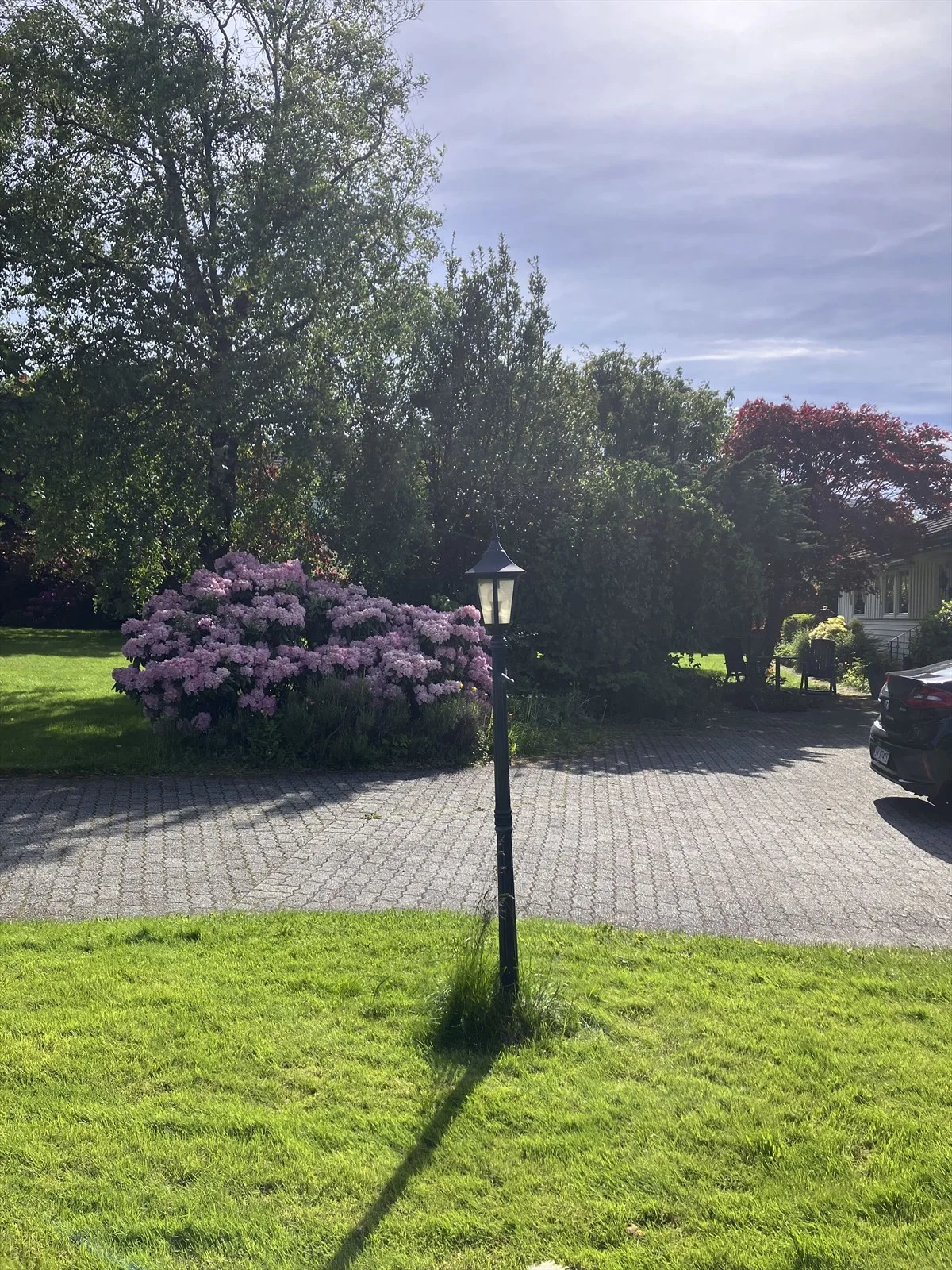 Photo 31