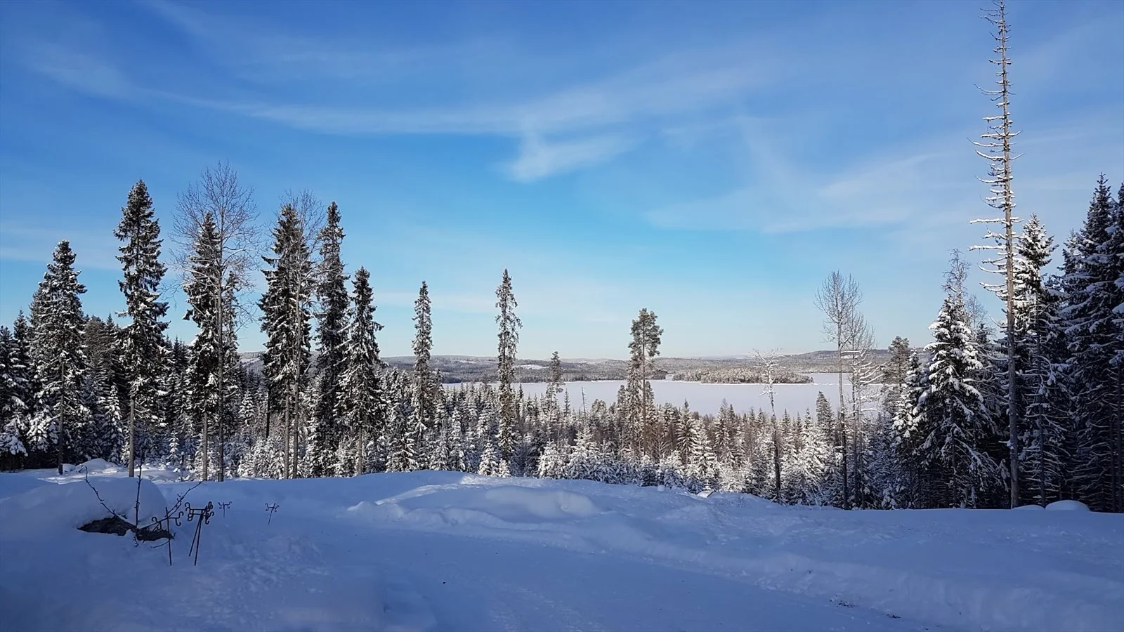 Photo 43