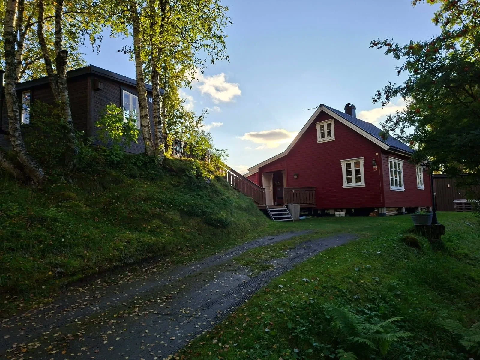 Photo 6