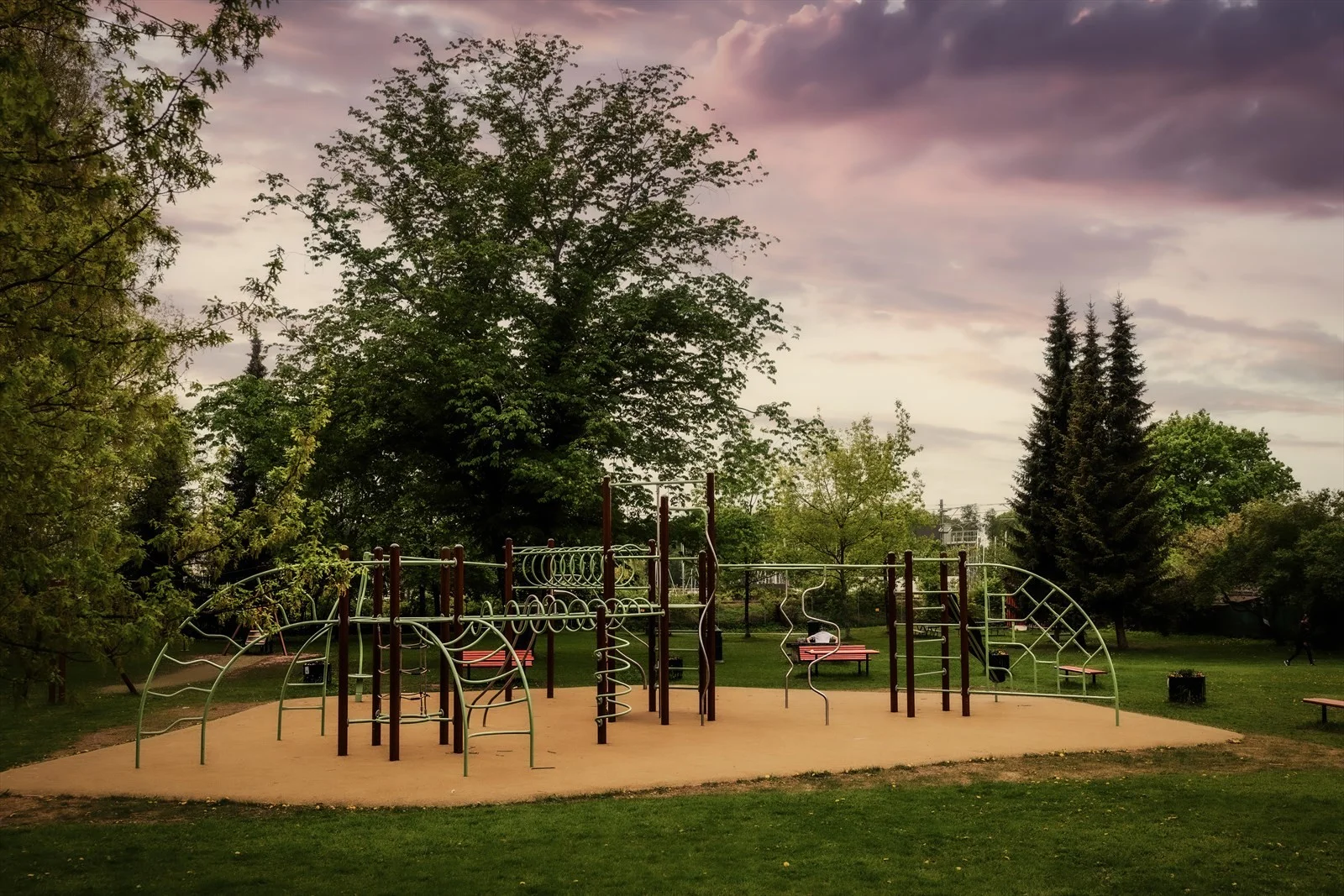 Photo 42