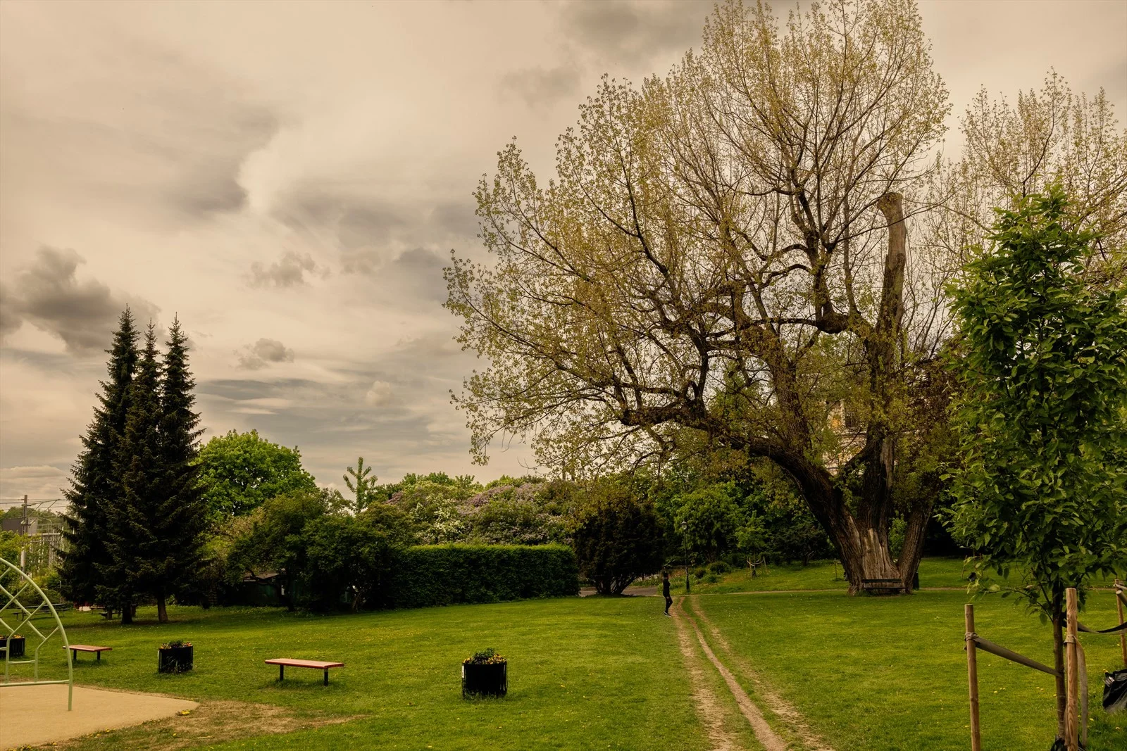 Photo 43