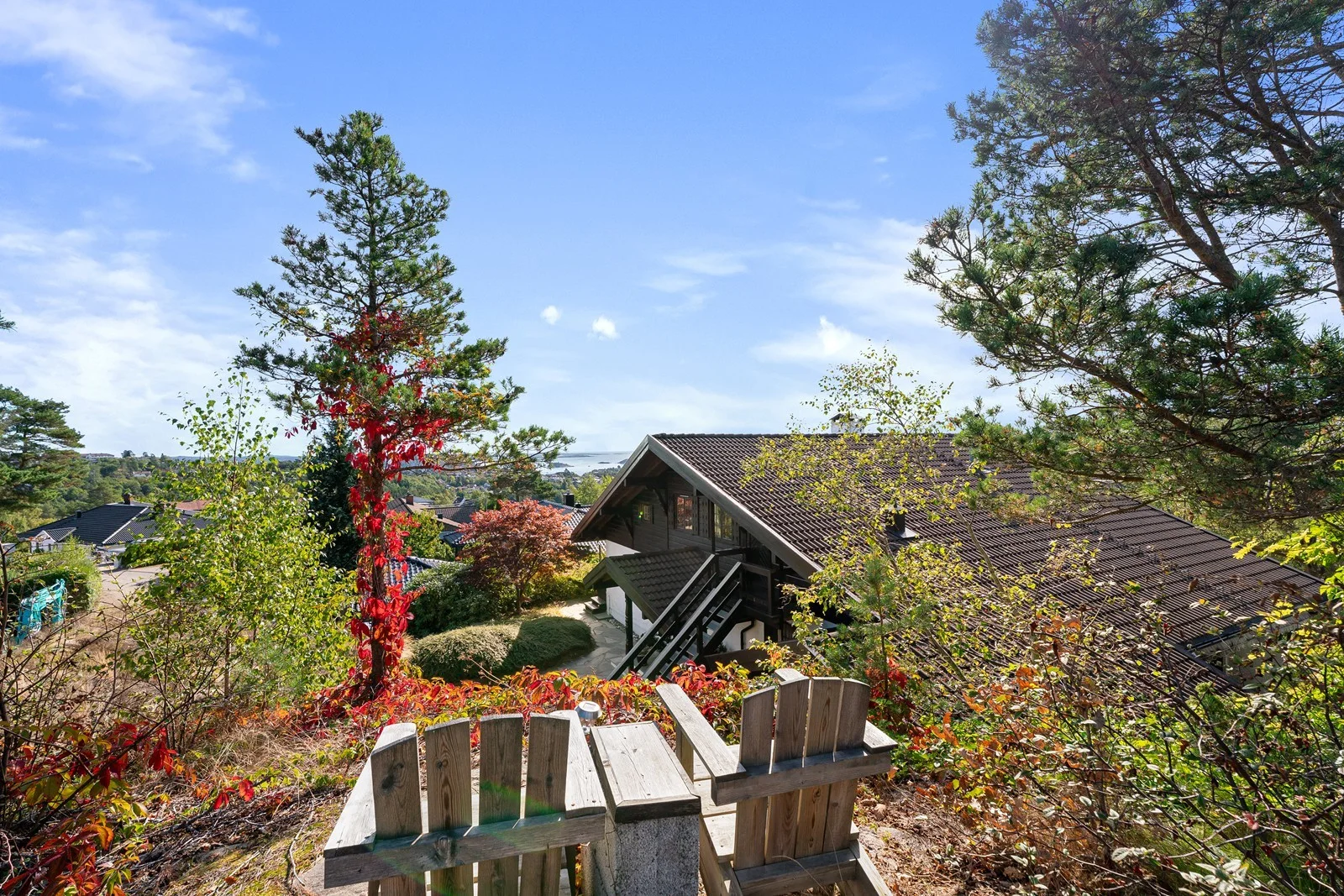 Photo 40