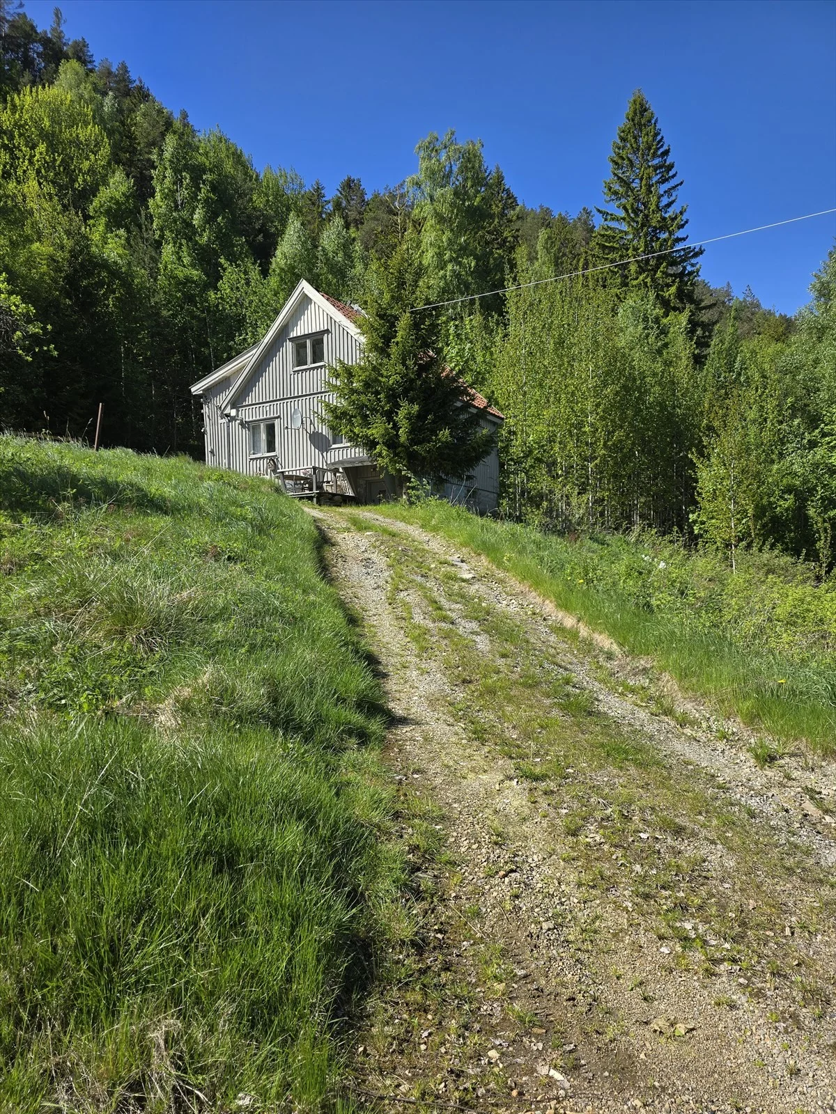Photo 22