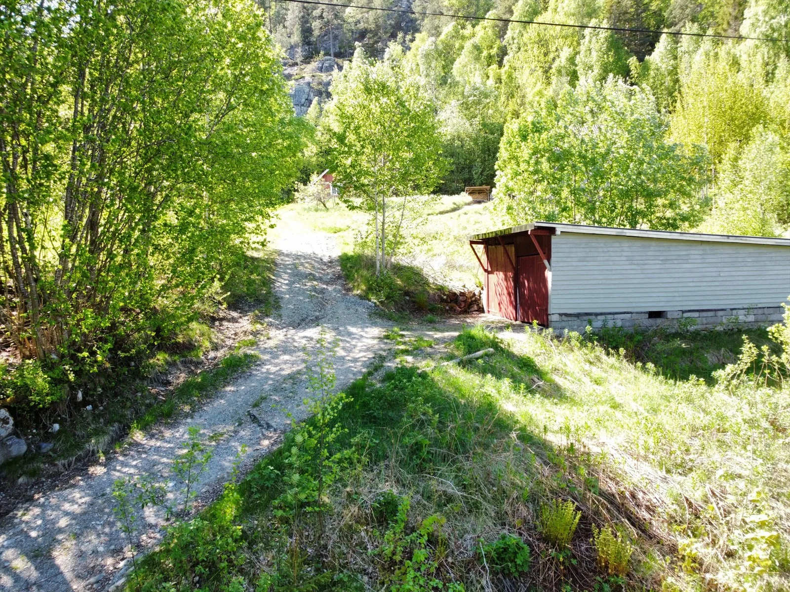 Photo 24