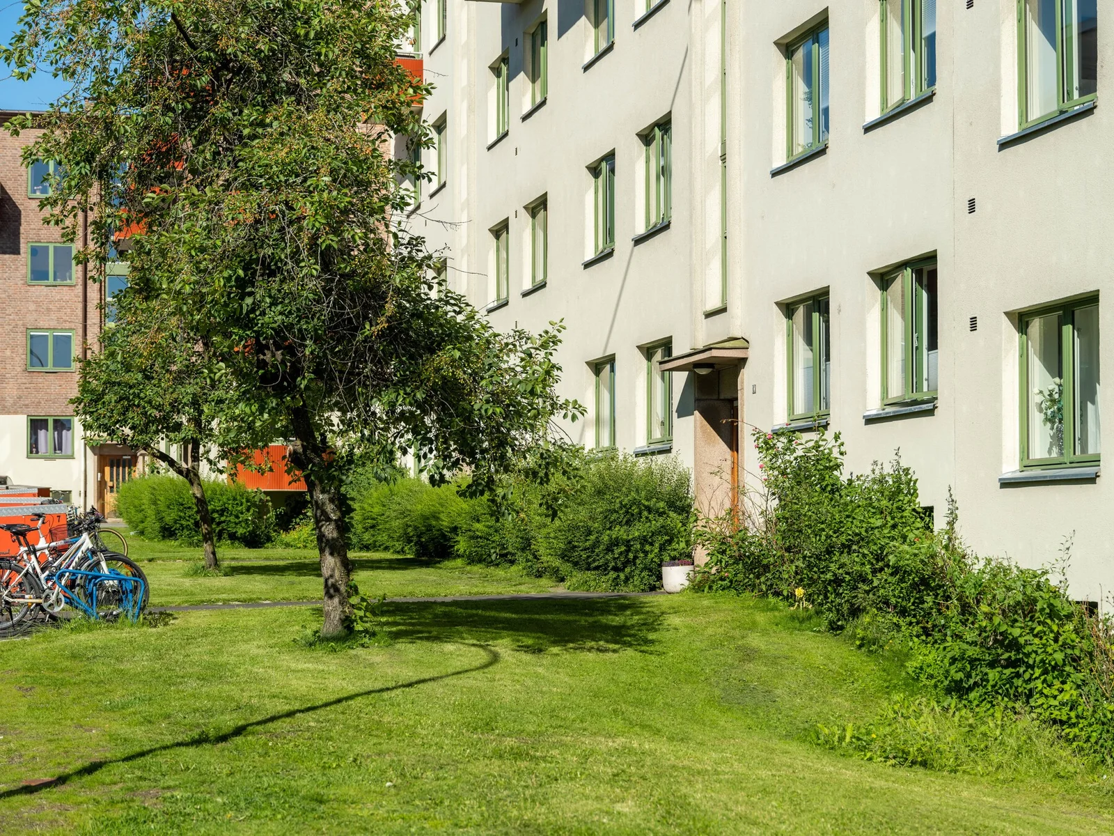 Photo 30