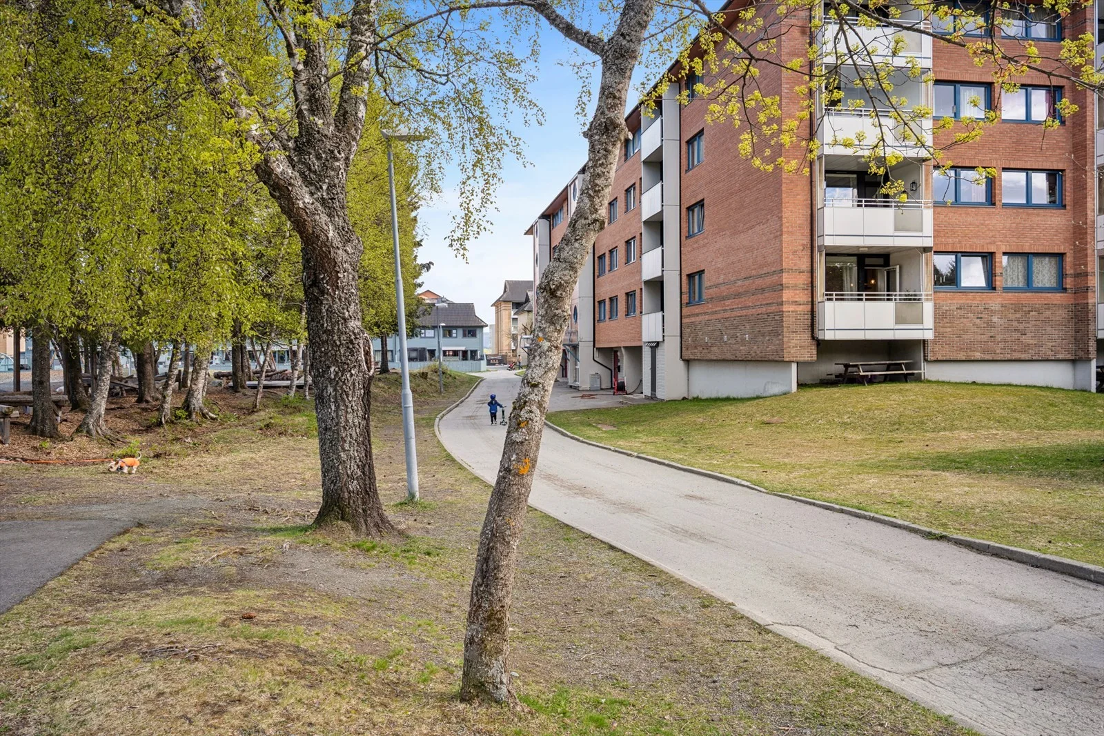 Photo 25