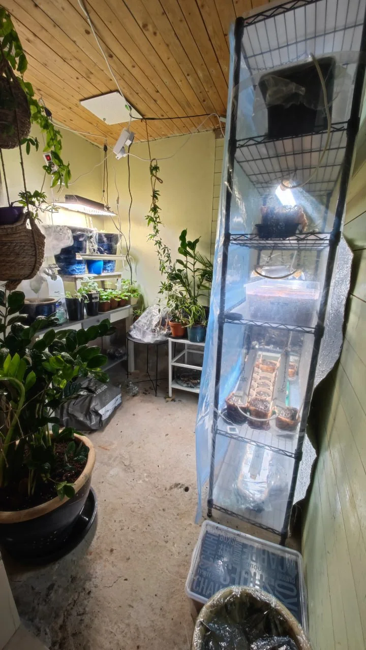 Photo 21