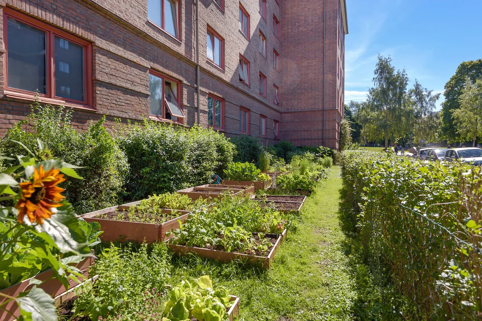 Photo 32