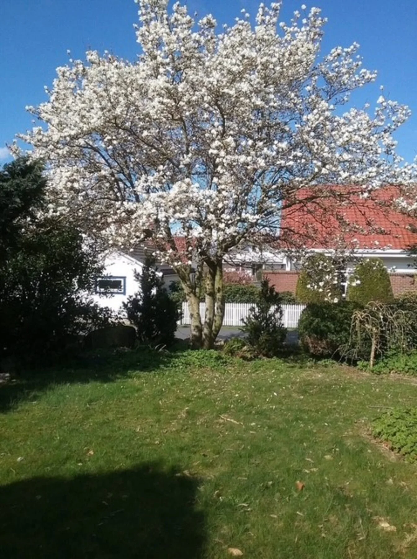Photo 29