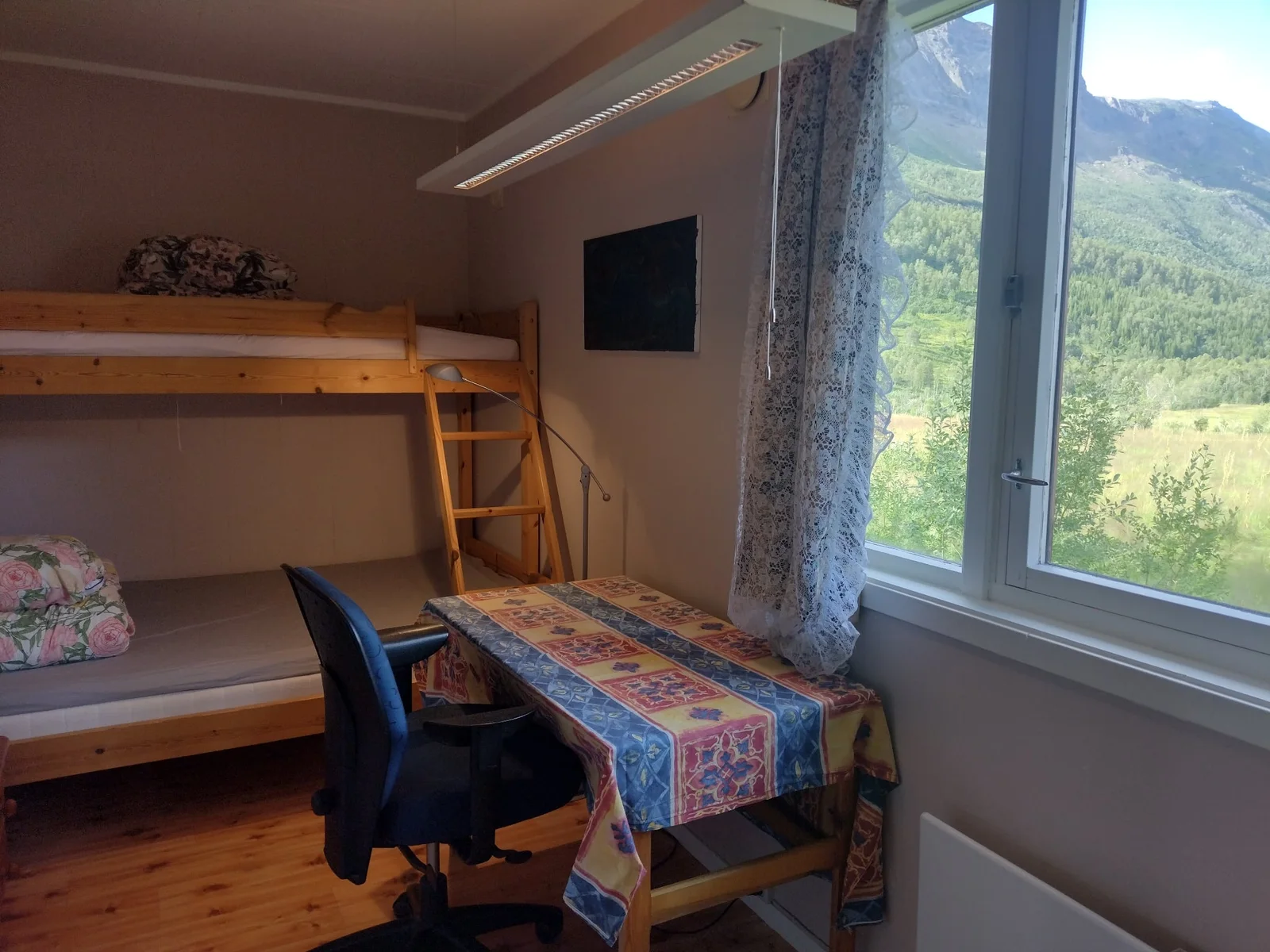 Photo 21