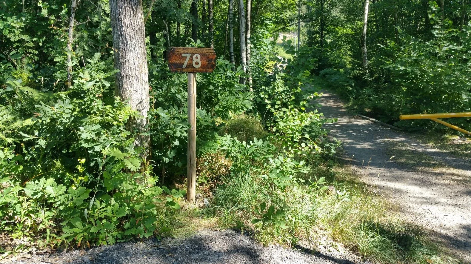 Photo 19