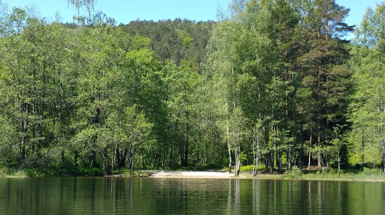 Photo 21