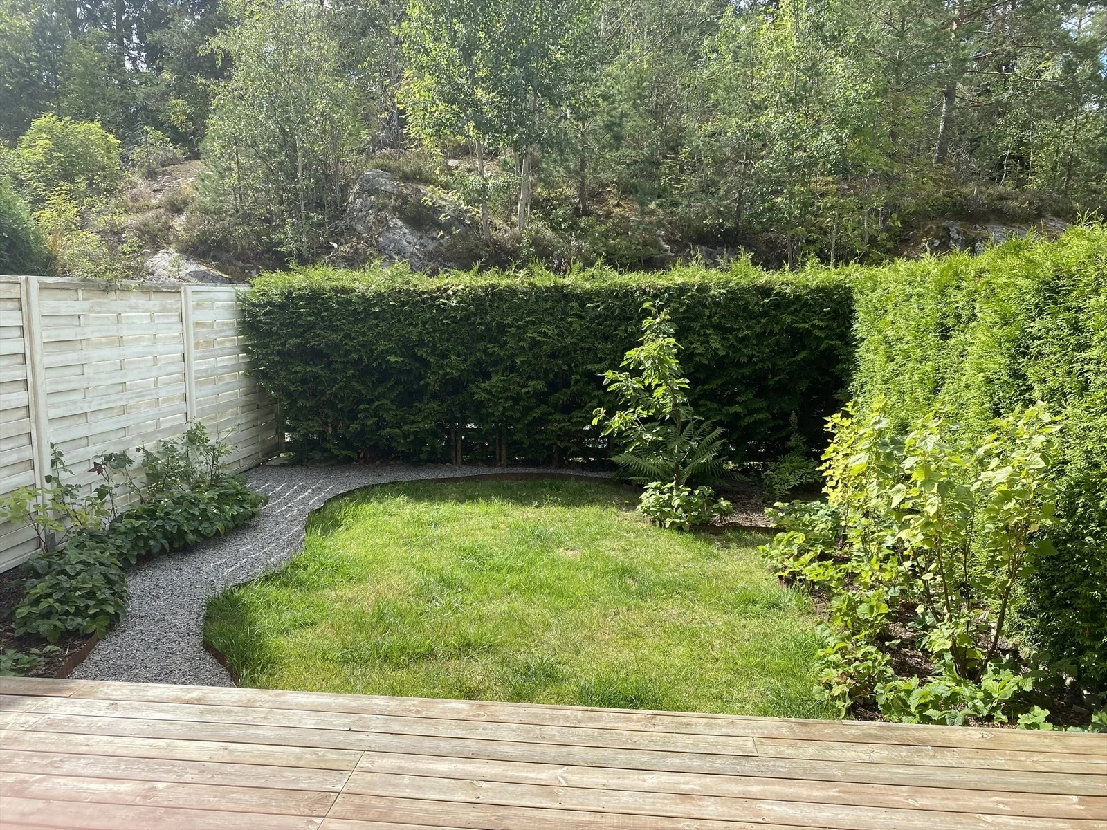 Photo 5