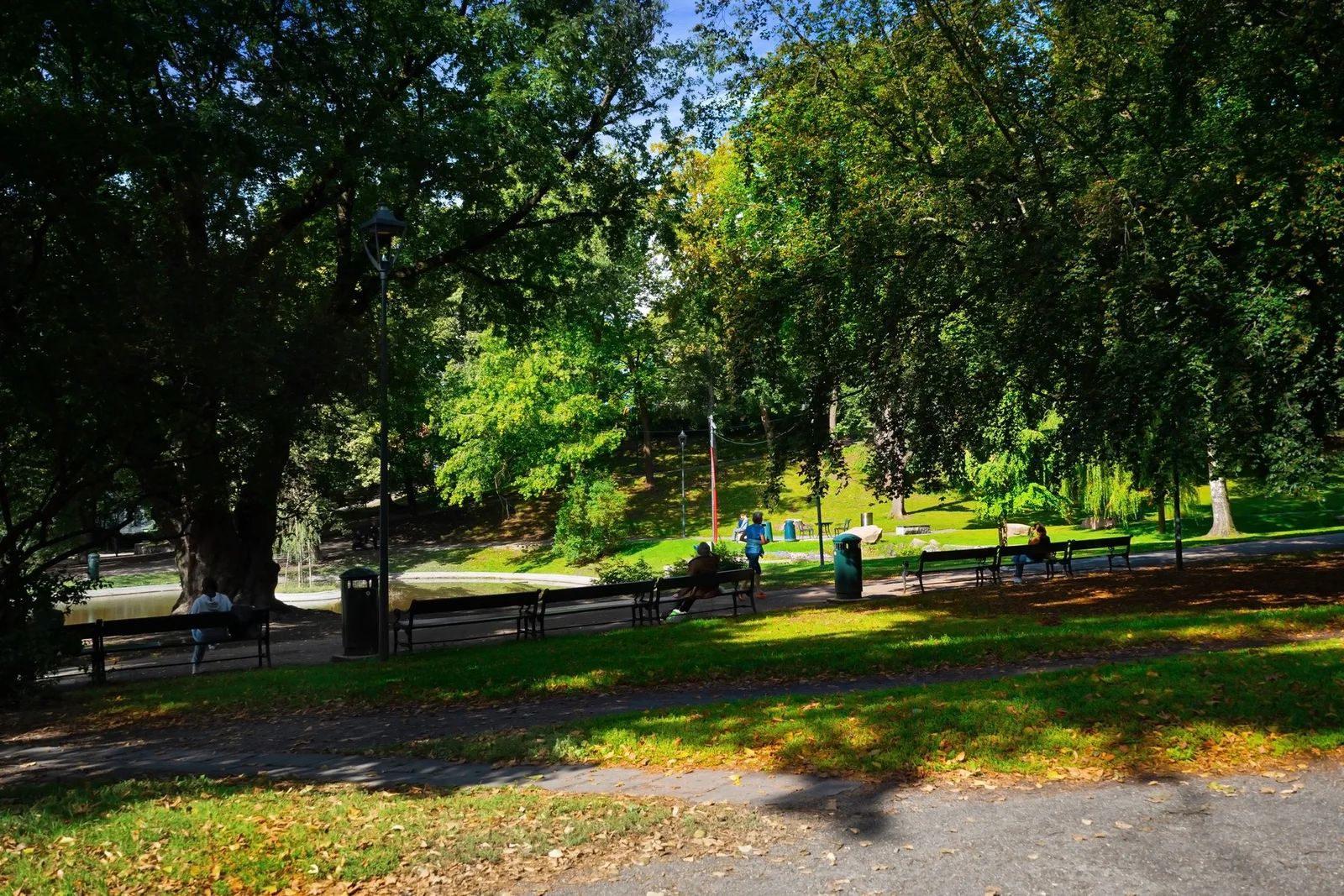 Photo 28