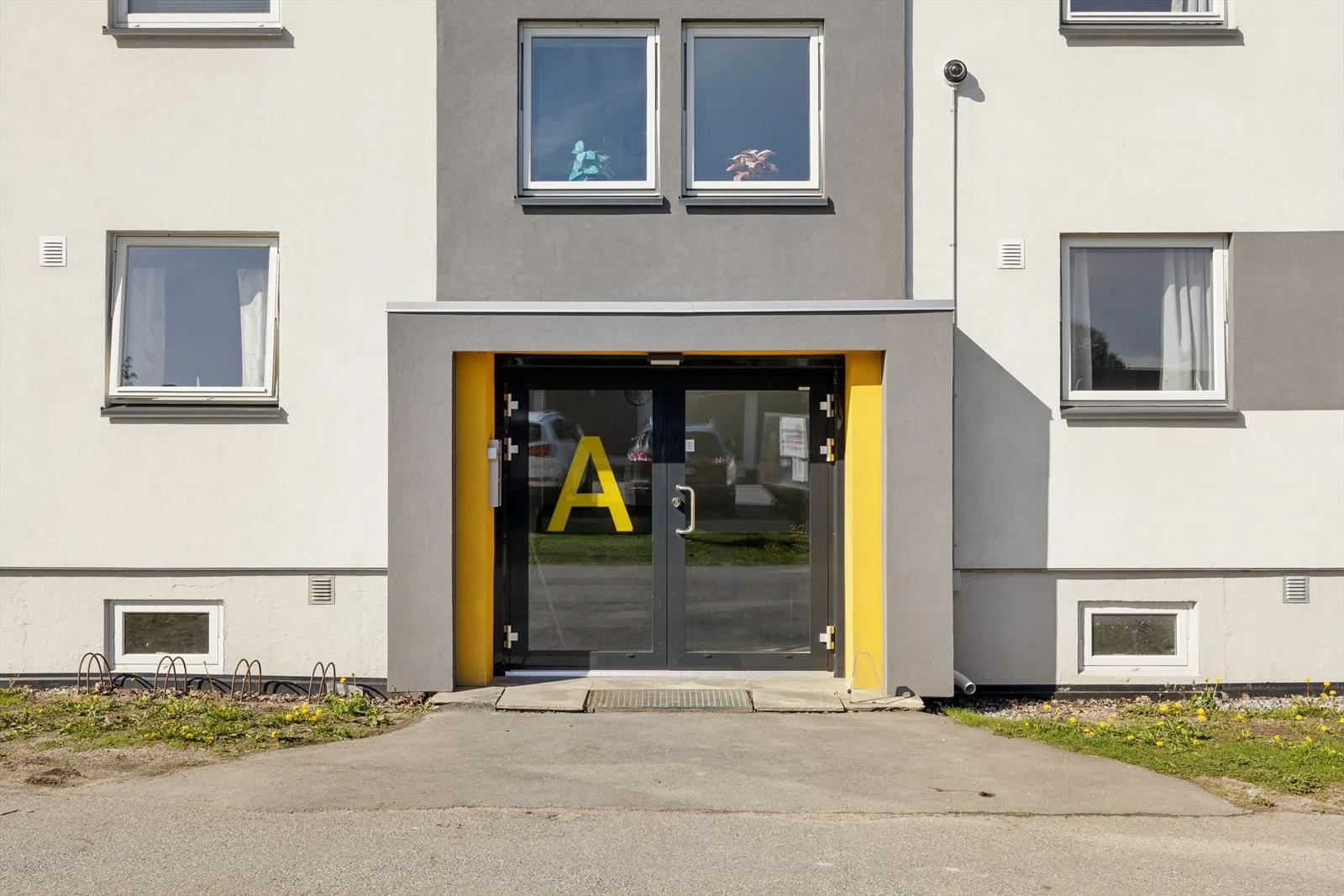 Photo 24