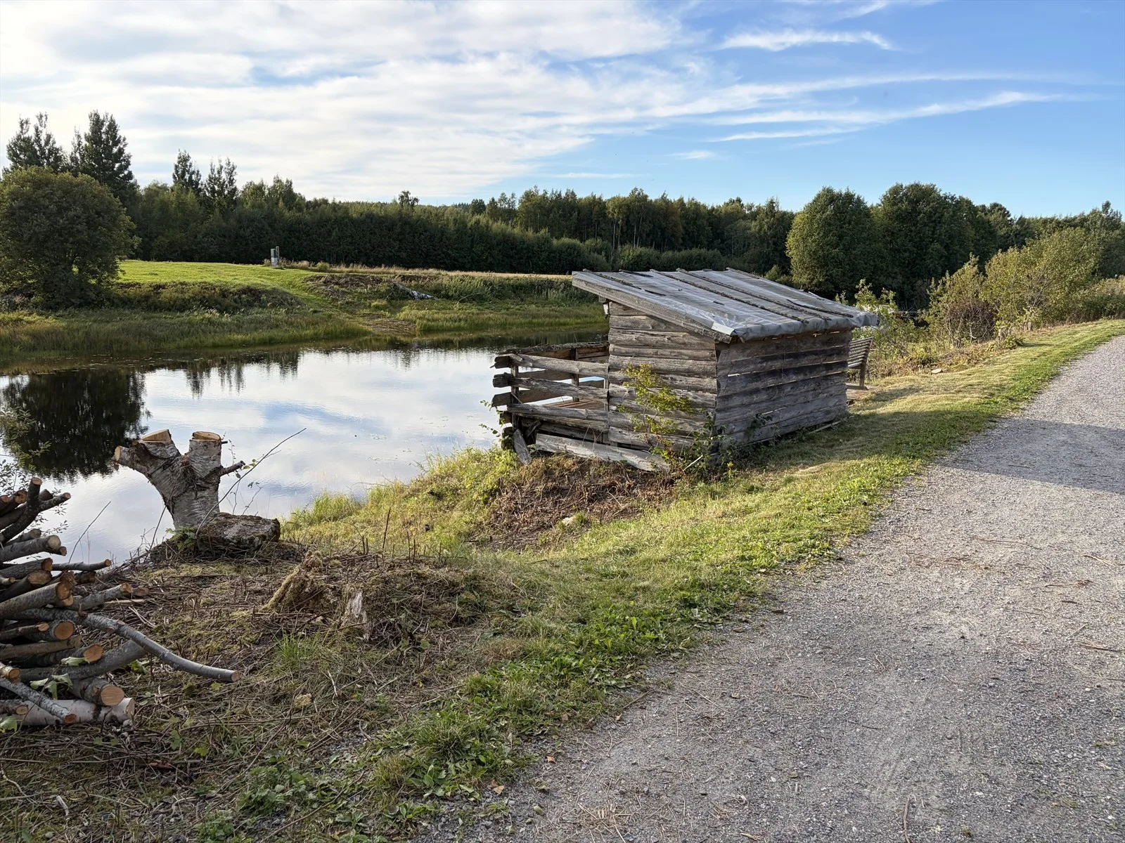 Photo 41