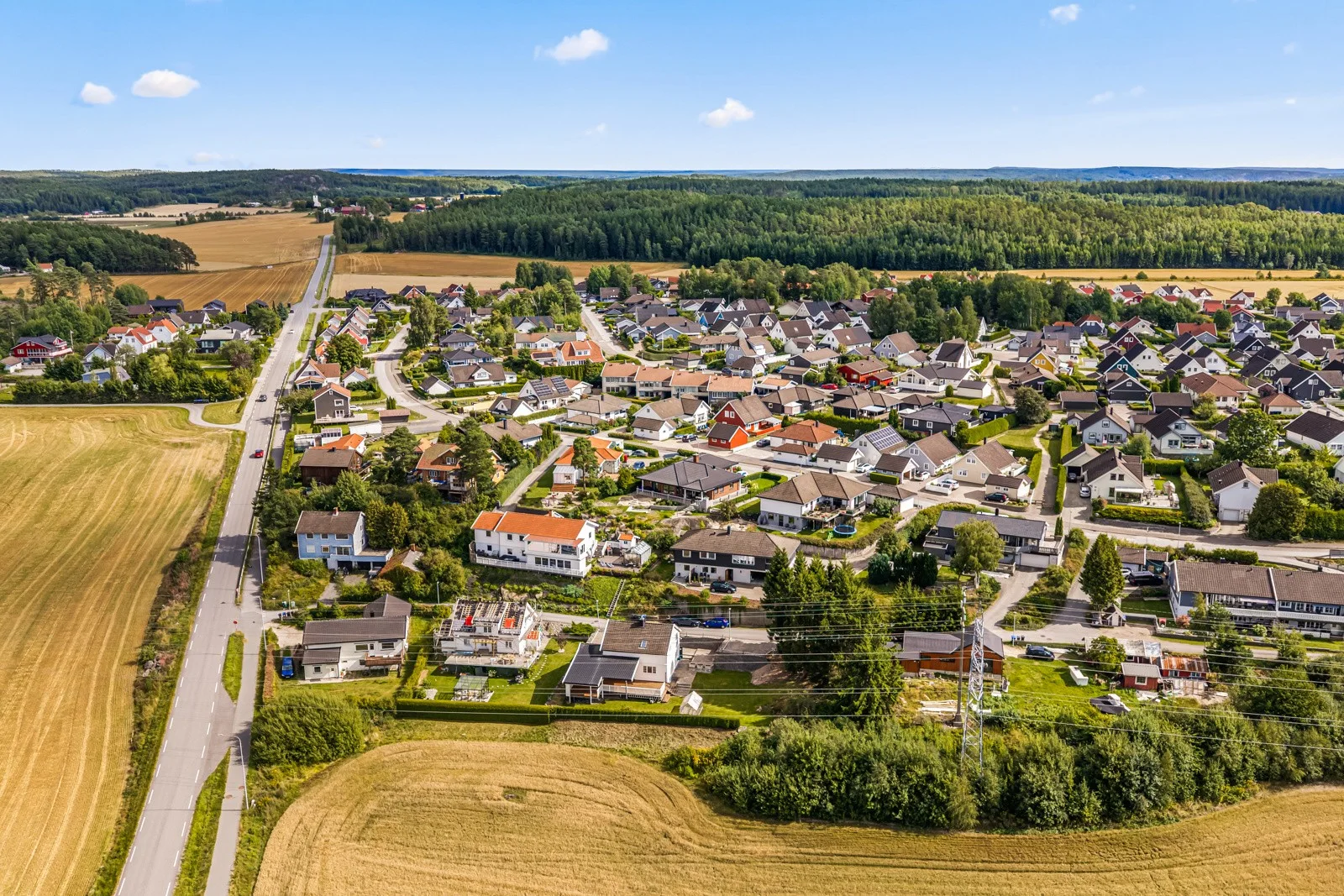 Photo 44