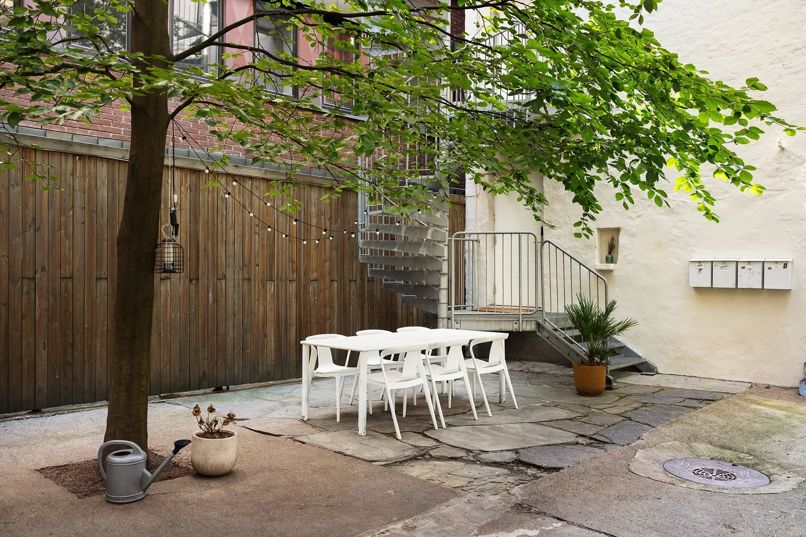Photo 19