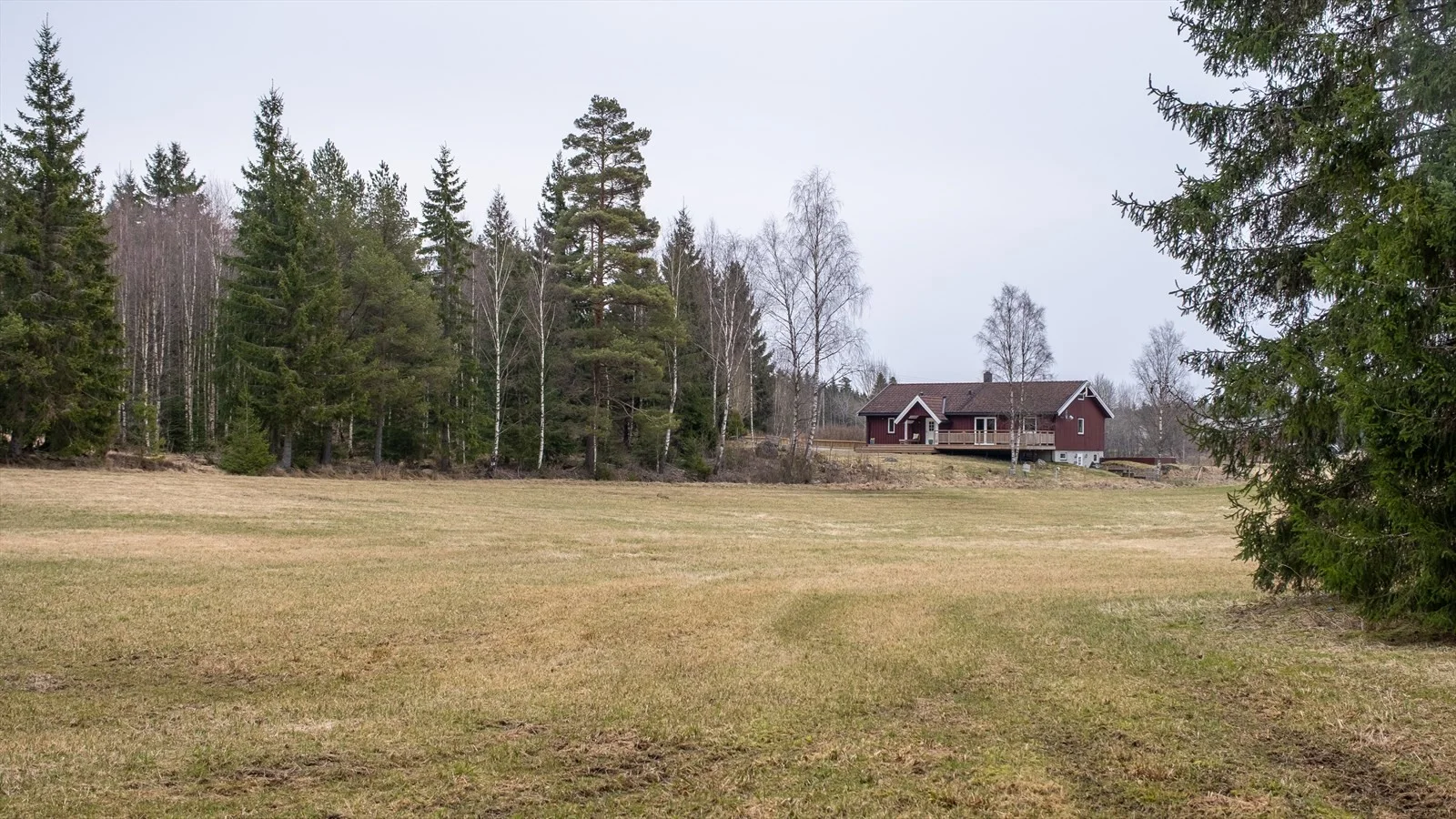 Photo 29