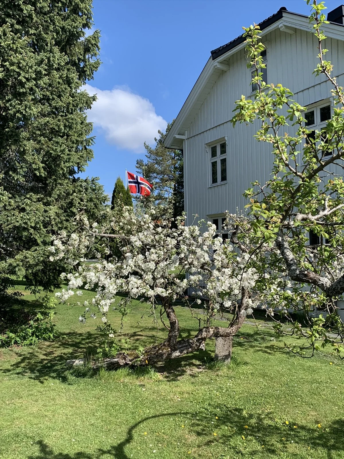 Photo 34