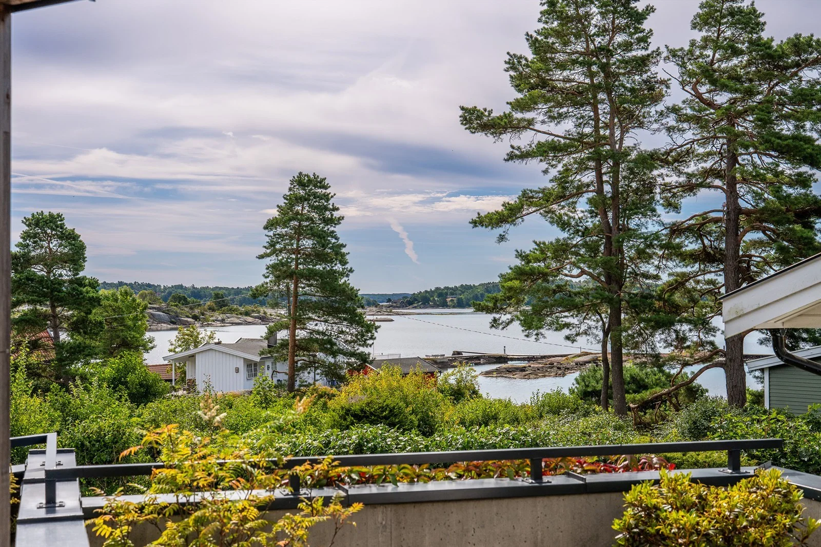 Photo 44