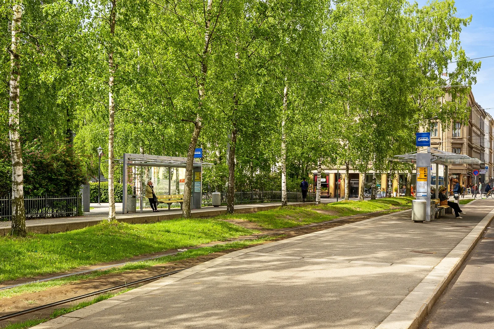 Photo 44