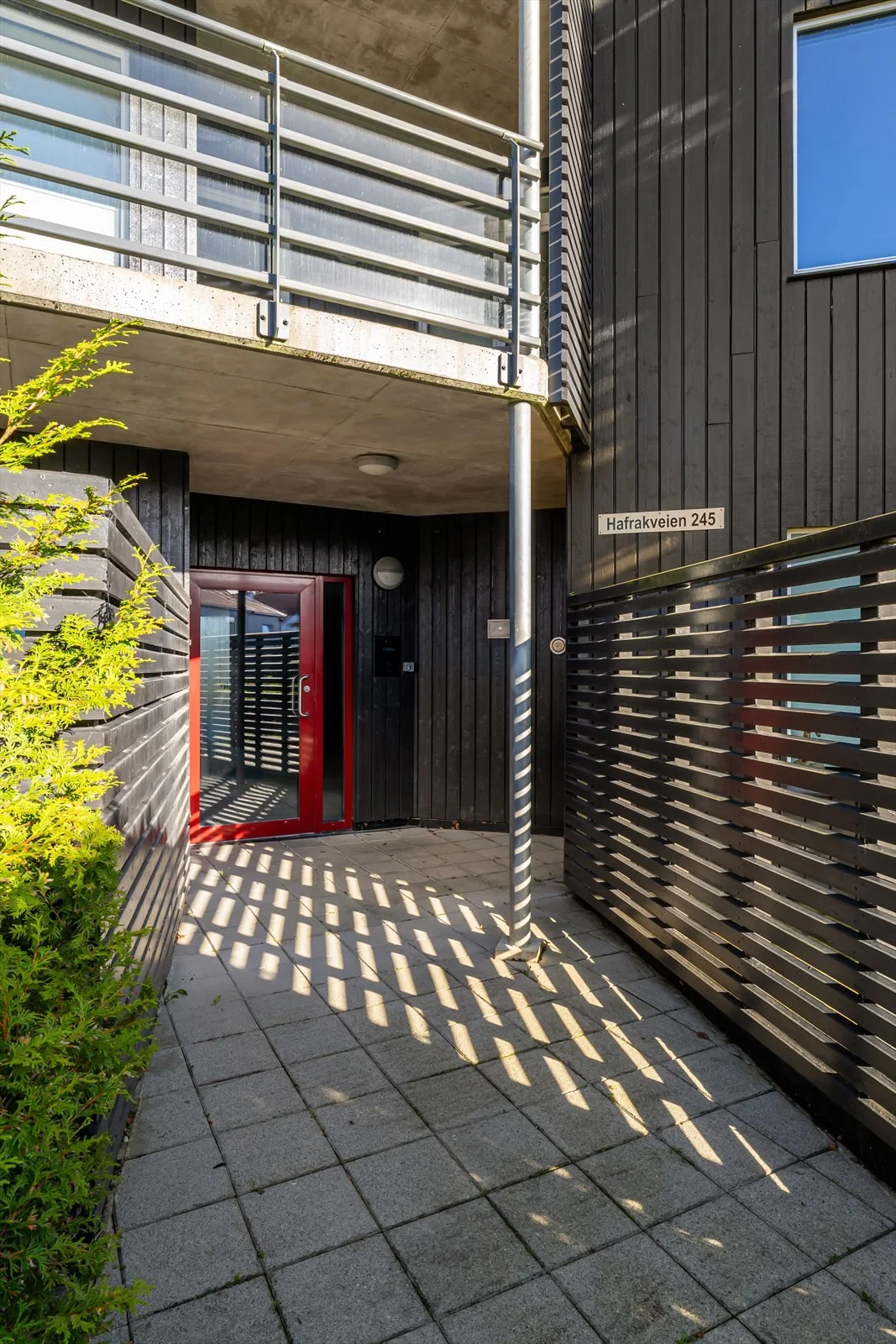 Photo 31
