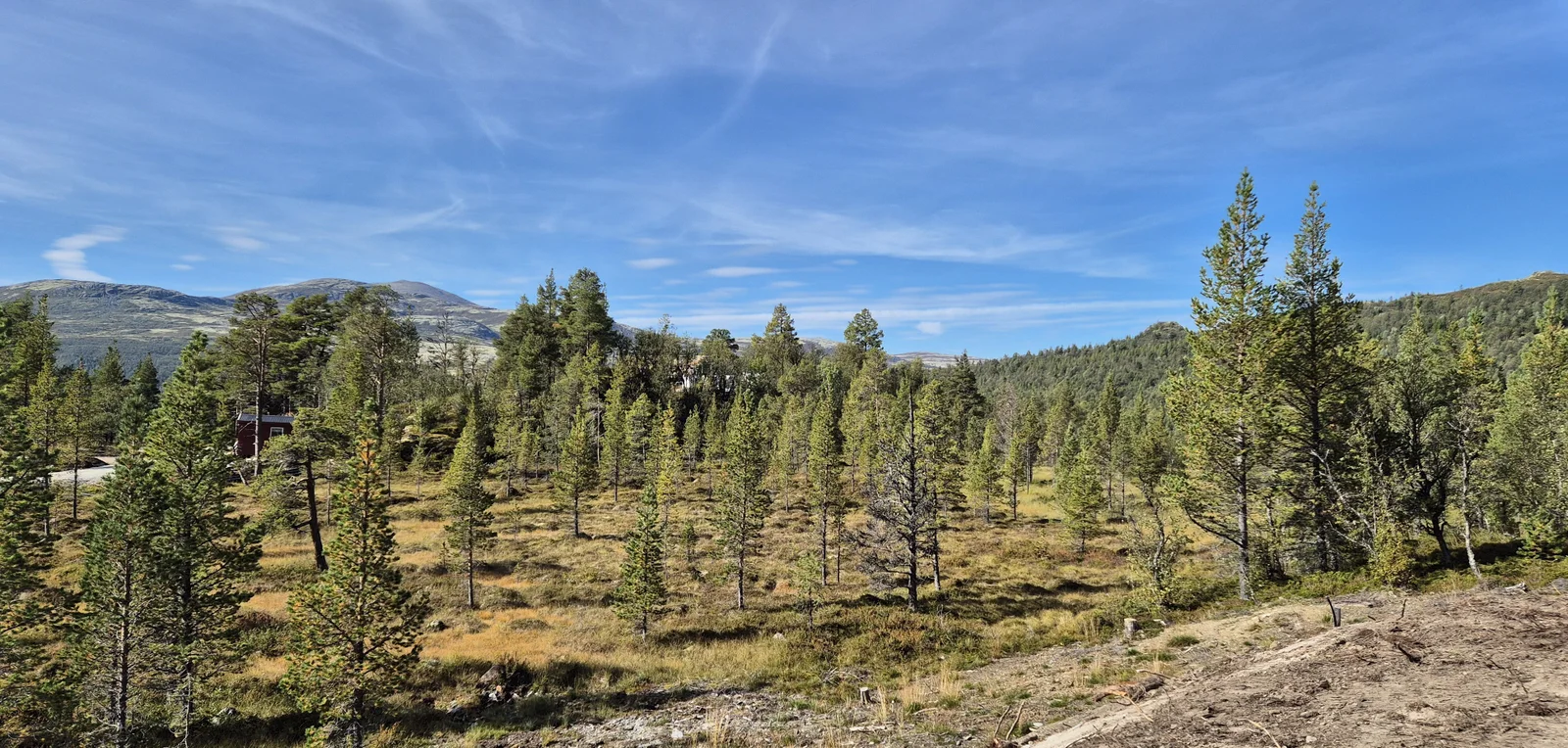 Photo 20