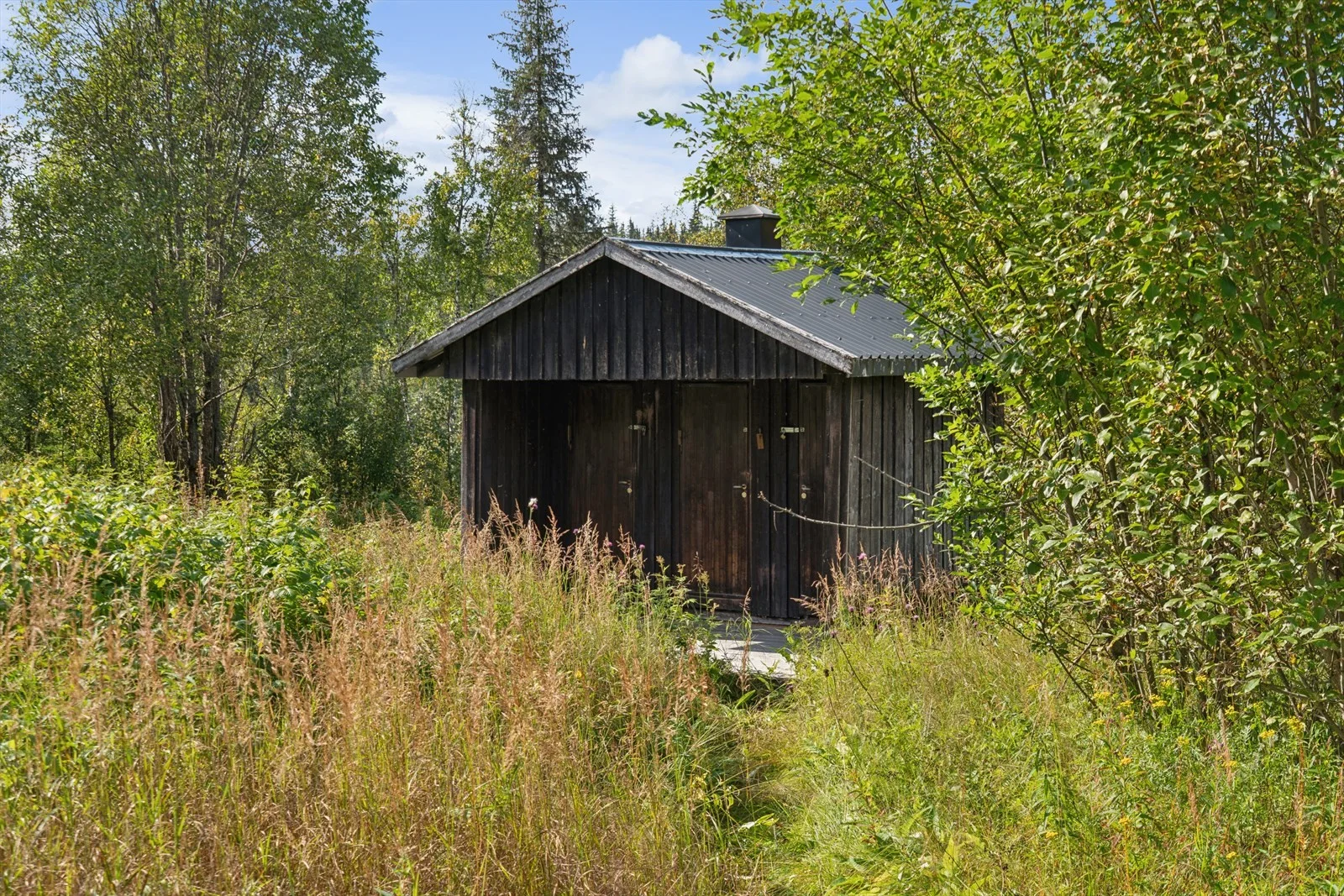 Photo 41