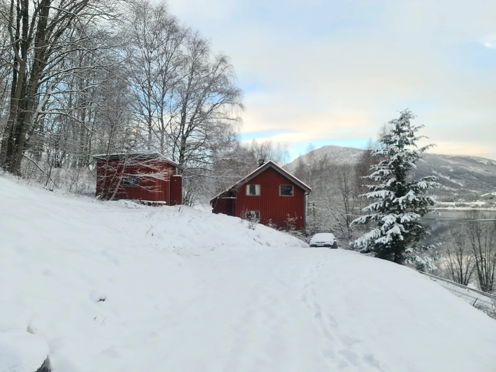 Photo 10