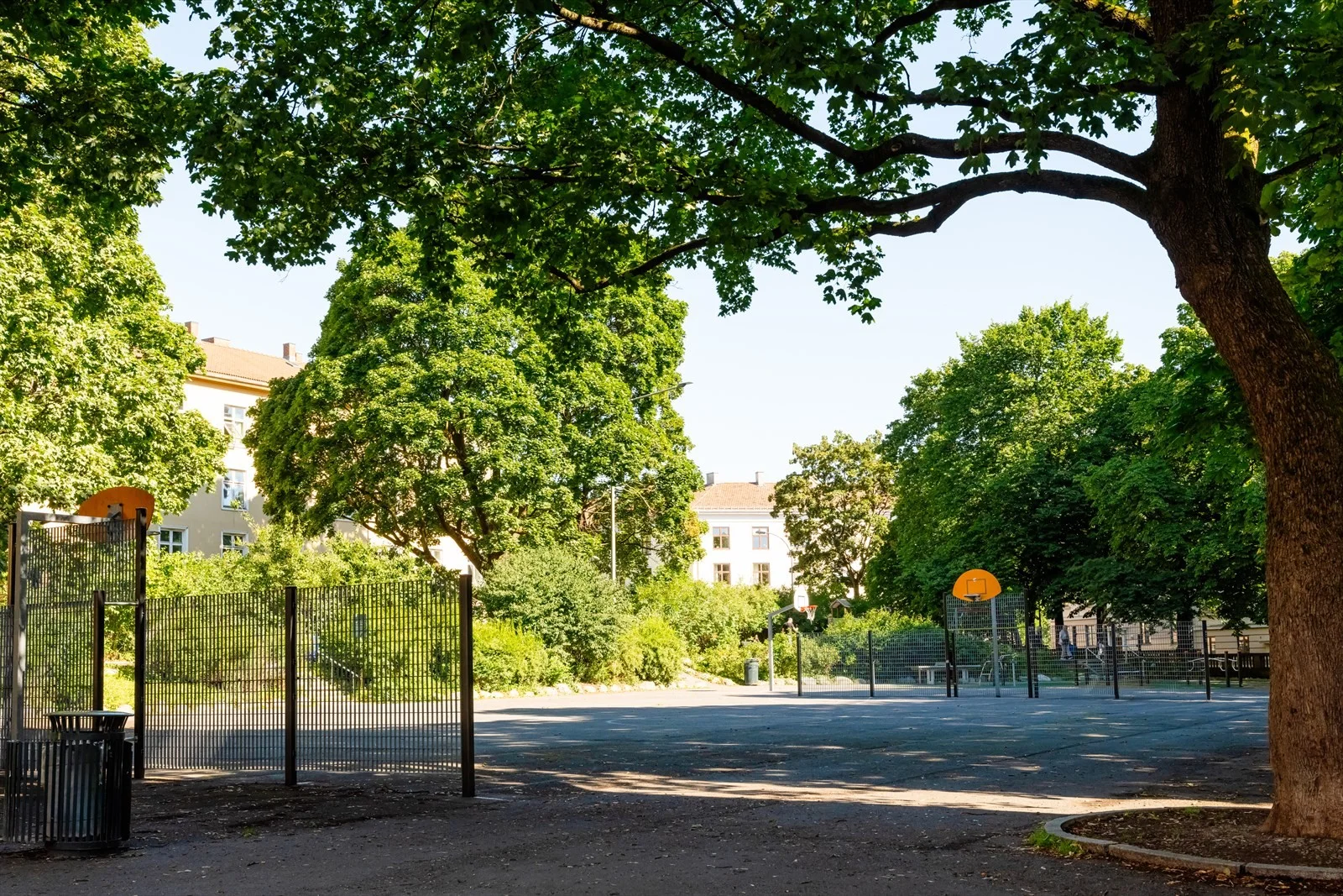 Photo 41
